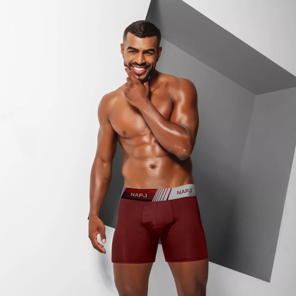 Kit com 10 a 44 cueca masculino Boxer Microfibra adulto original NAPJ - Imagem 9